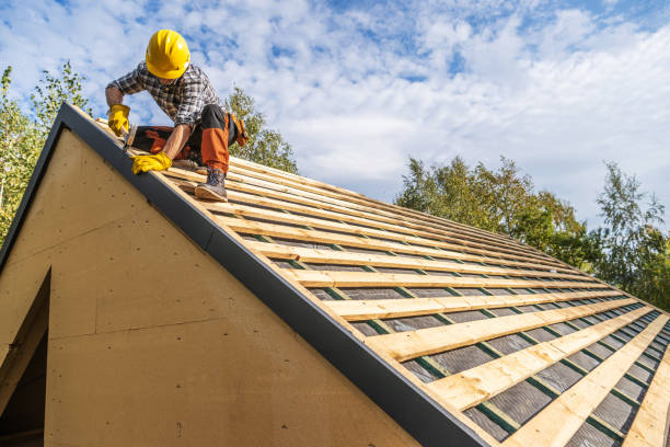 Best Roof Gutter Cleaning  in Rutherfordton, NC